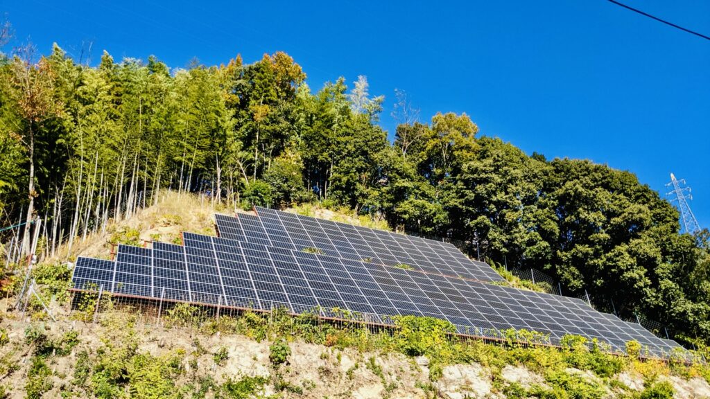 無理な山林開発